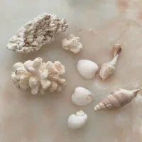 صدف و مرجان اکواریوم