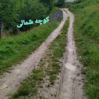 ویلا ییلاقی بازسازی شده منطقه جنگلی خوشآبوهوا|فروش خانه و ویلا|فریم, |دیوار