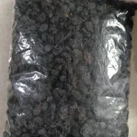 ترشیجات وتنقلات