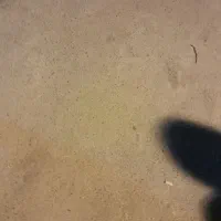 کیف کارت پیدا شده