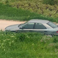 زانتیا 84 معاوضه