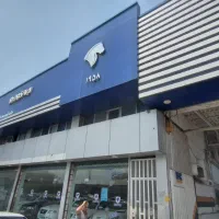صندوقدار خانم آشنا به حسابداری