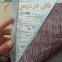 قالی مناسب خانه باغ|فرش|مریوان, |دیوار