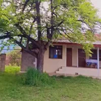 فروش ویلاباغ ۹۰۰متری سندتک برگ قیمت مناسب|فروش زمین و ملک کلنگی|شاندرمن, |دیوار