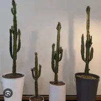 راهنمایی زندگی