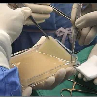 فرصت سرمایهگذاری در فناوری پزشکی دانش بنیان|خدمات مالی، حسابداری، بیمه|تهران, گلستان (شهرک راه آهن)|دیوار