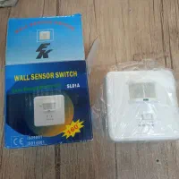 سنسور لامپ چراغ، دیواری ۳۰عدد
