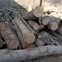 خریدار چوب همه نوع