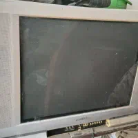 تلویزیون