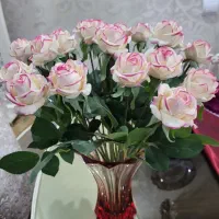 گل رز لب صورتی|گل مصنوعی|قزوین, |دیوار