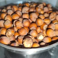 فندق درجه یک شمال + بدون واسطه + بهترین قیمت