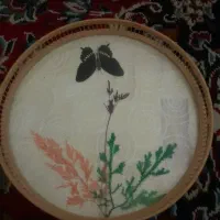 سینی عتیقه|کلکسیون اشیاء عتیقه|جهرم, |دیوار