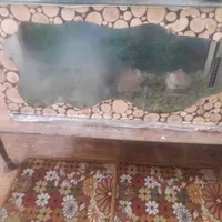 اکواریوم تزئینات و پمپ هوا