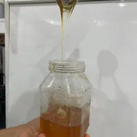 عسل کوهی قارون ایذه