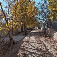 فروش باغ 700 متری|فروش زمین و ملک کلنگی|نجف‌آباد, قلعه سفید|دیوار