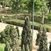 ویلایی/ ۲۵۰متری / ۳بر/تهاتر|فروش خانه و ویلا|کرج, عظیمیه|دیوار