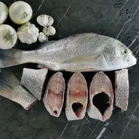 ماهی تازه