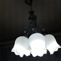 لوستر۵ شاخه لاله|لوستر و چراغ آویز|تبریز, |دیوار