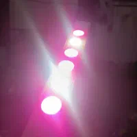 نور مخصوص رشد گیاه
