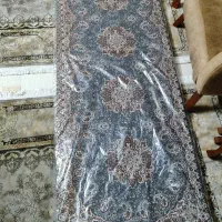 شاهنشین