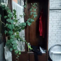 جا کفشی و جا لباسی اینه دار|جاکفشی، کمد، دراور|ری, سیزده آبان|دیوار