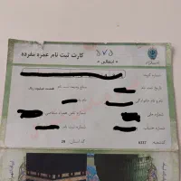فیش عمره