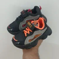 قاب طلقی شبرنگی