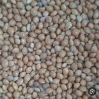 خریدار ارزن