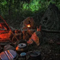 طبیعتگردی و گردش