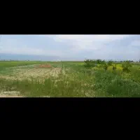 زمین کشاورزی حومه چناران