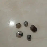 سنگ شجر