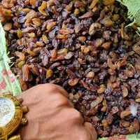 کشمش آفتابی درجه یکه خشکه کیسه سبز خدادادی|عمدهفروشی|مشهد, کوی سیدی|دیوار