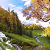 ادمین اینستاگرام پیج کاری