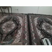 فرش ۷۰۰شانه|فرش|تهران, بوستان ولایت|دیوار