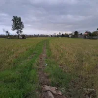 زمین ۱۸۰۰۰متری دربلوار لاکان کوچه ملکی