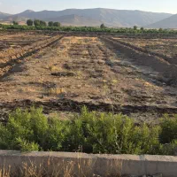 فروش7۰۰متر زمین تجاری شهرستان بیضا|فروش زمین و ملک کلنگی|شیراز, خلدبرین|دیوار
