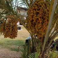 راهنمایی و کمک و مشاوره