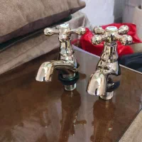 شیر آلات طلایی