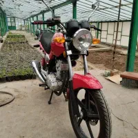 فروشی قیمت 80