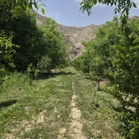 باغ اخلمد فقط متری 5 میلیون