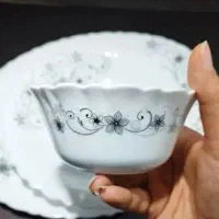 فروش اکروپال نو از کارتن درنیومده