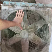 فن بزرگ و کولر ابی|کولر آبی|شوشتر, |دیوار