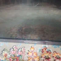 تلویزیون LEDمارک Daewoo