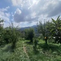 فروش  باغ ویلای   ۲۲۲۰ متری|فروش خانه و ویلا|پایین هولار, |دیوار