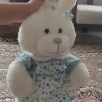 دو عدد عروسک