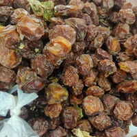 فروش فوق العاده آلوچه خشک