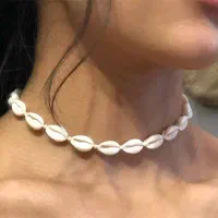 بدلیجات