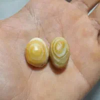 مهر سلیمانی