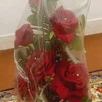 درختچه مصنوعی و جا حنا|گل مصنوعی|اردبیل, |دیوار