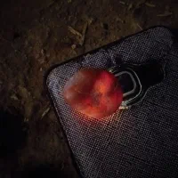 شهاب سنگ|جواهرات|بجنورد, |دیوار